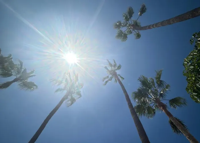 Tagoro Park شقة طوستا ديل سيلونثيو